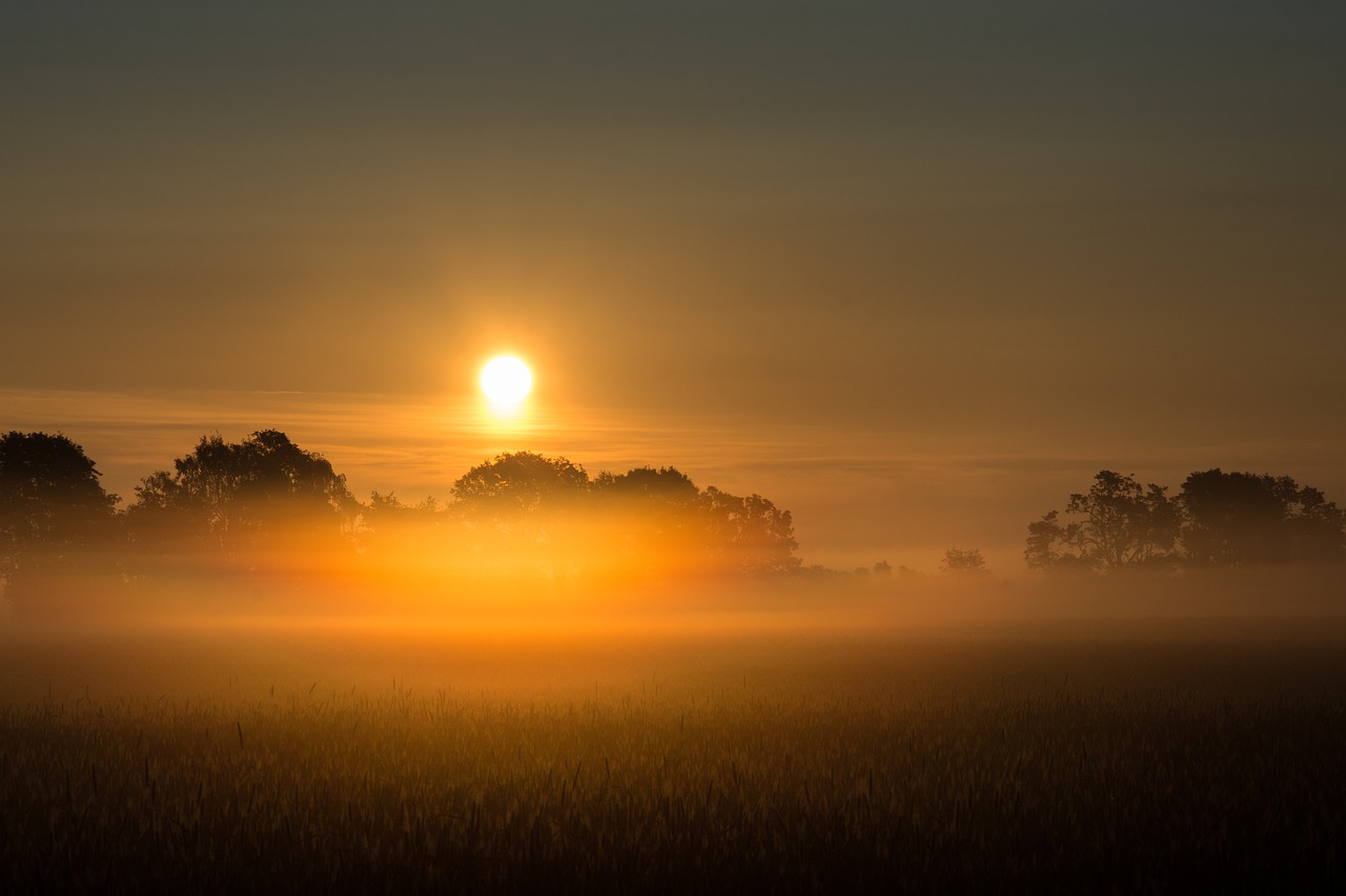 sunrise fog field free photo