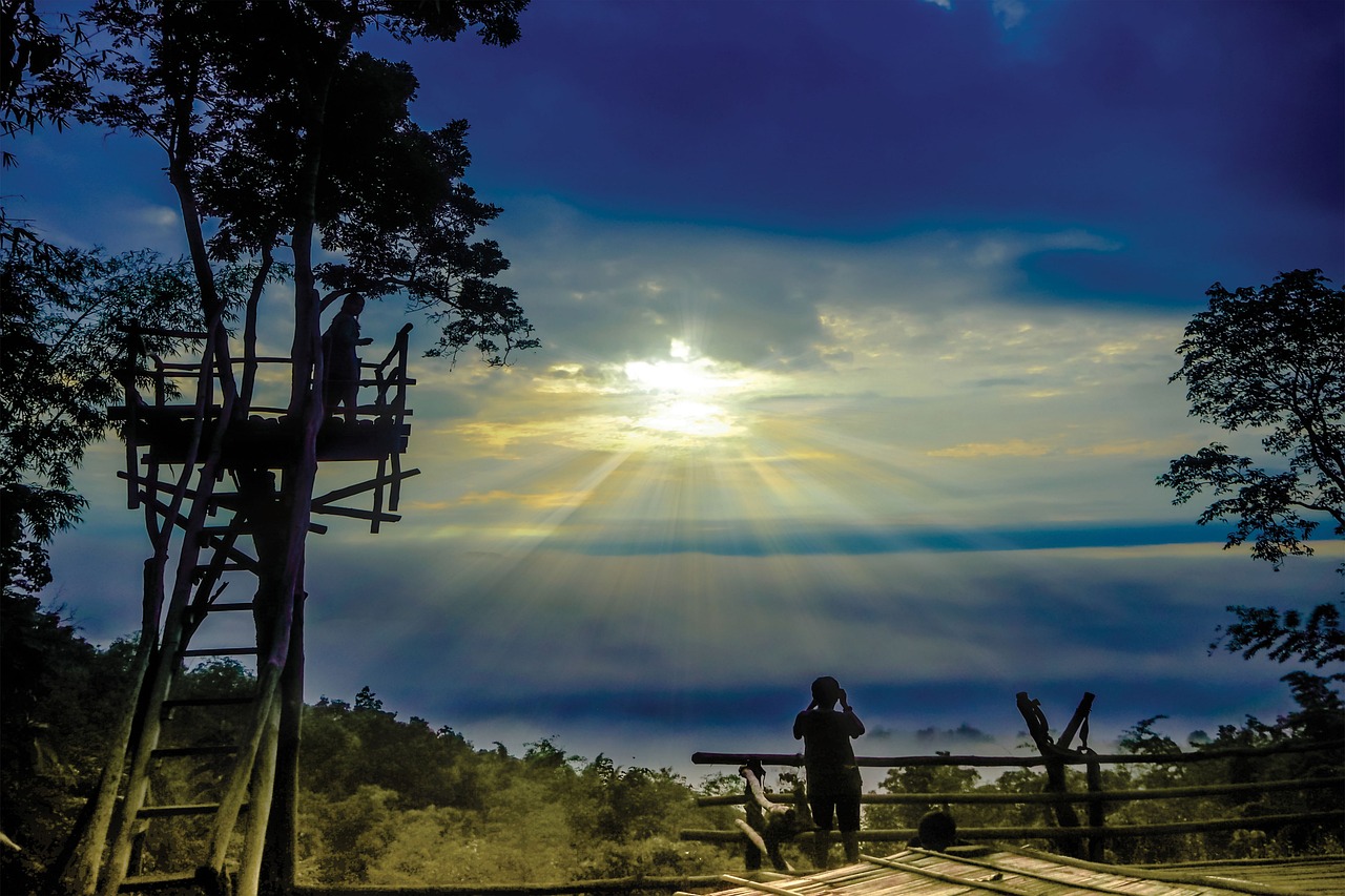 sunrise sea fog sky free photo