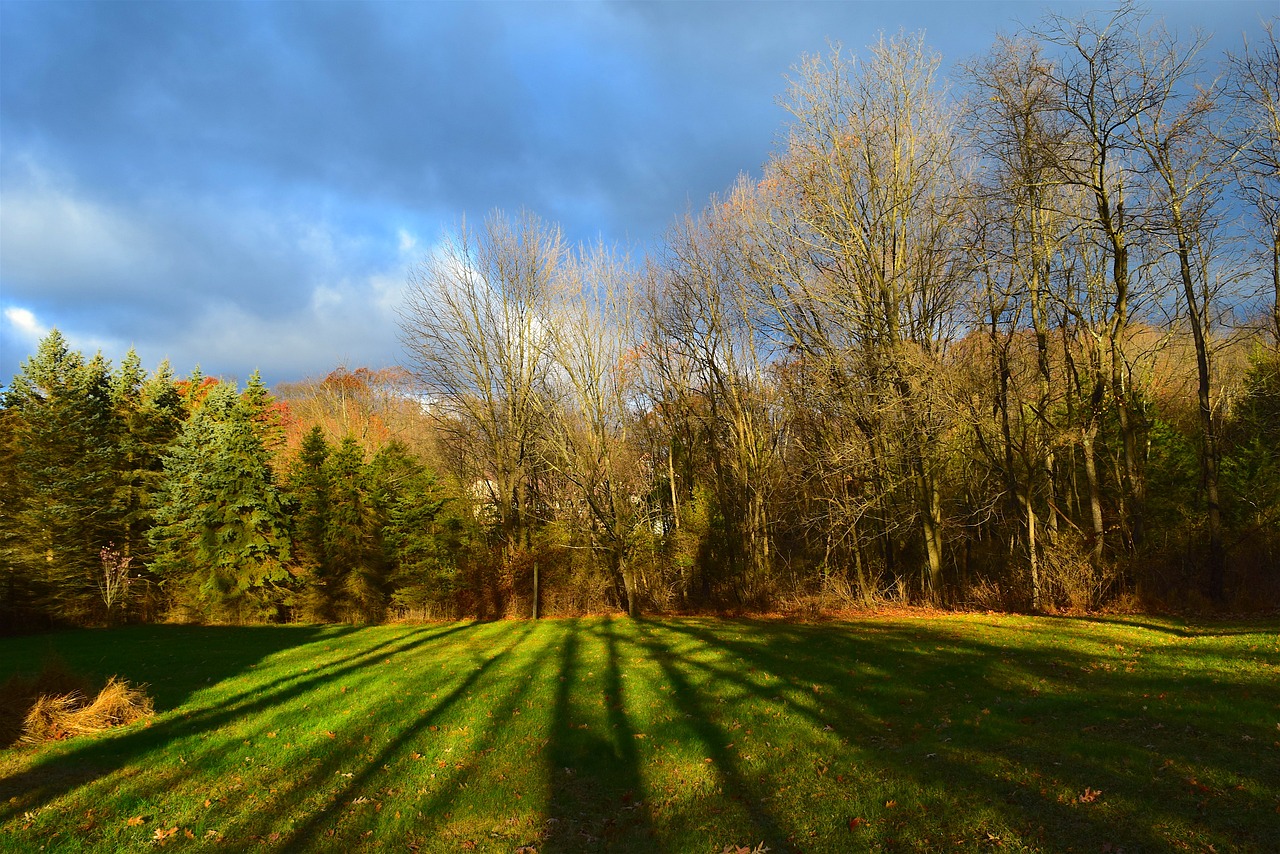 sunrise daylight shadows free photo