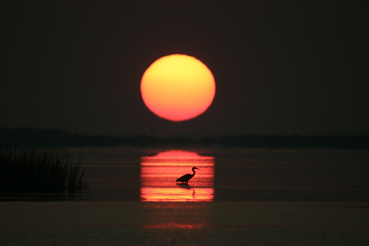 sunrise ocean bay free photo