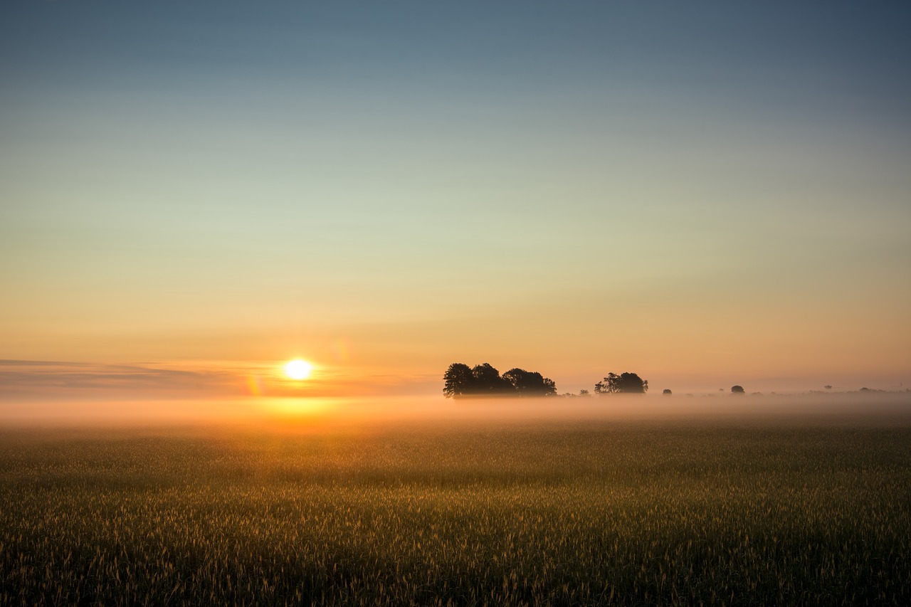 sunrise fog fog bank free photo