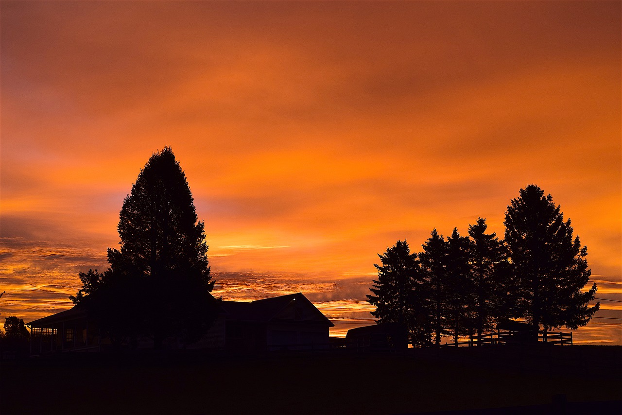 sunrise sky silhouette free photo