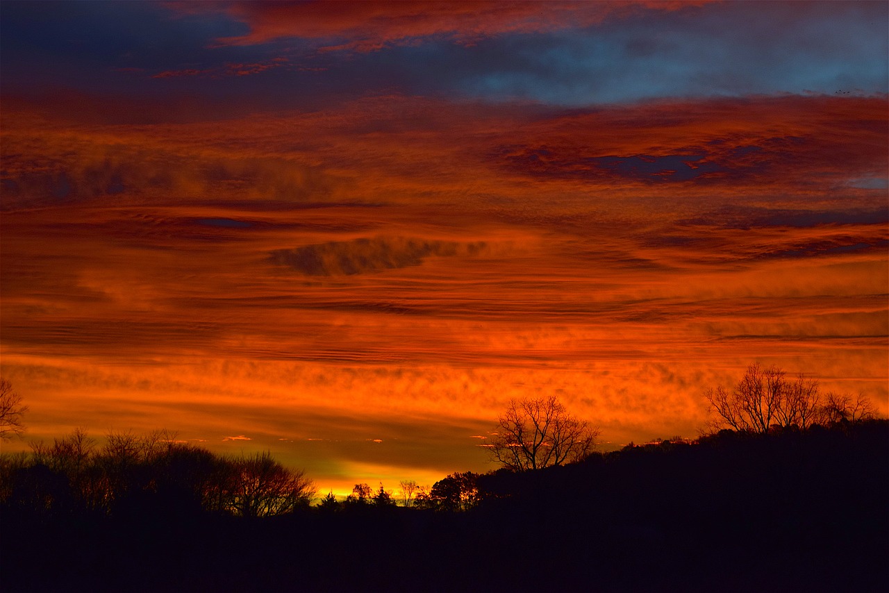 sunrise sky silhouette free photo