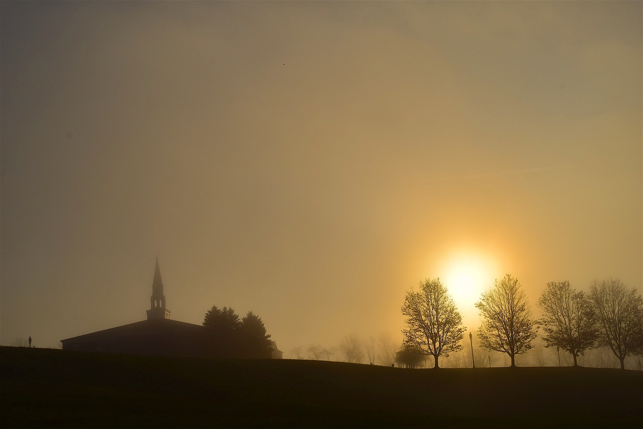 sunrise misty foggy free photo