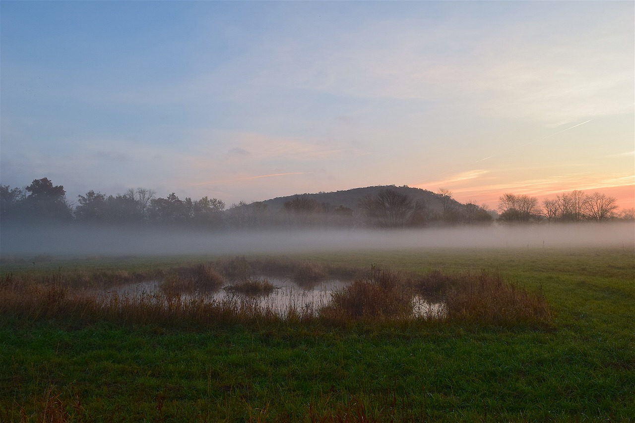 sunrise field mist free photo