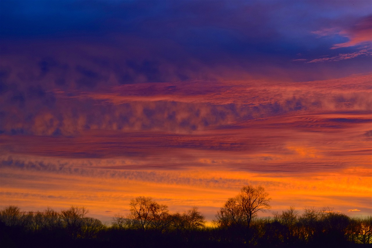 sunrise sky silhouette free photo