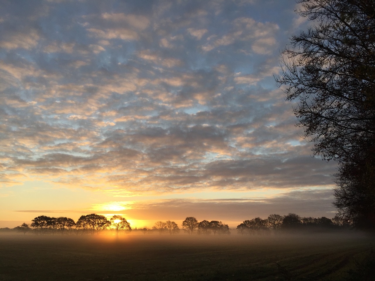 sunrise denmark landscape free photo