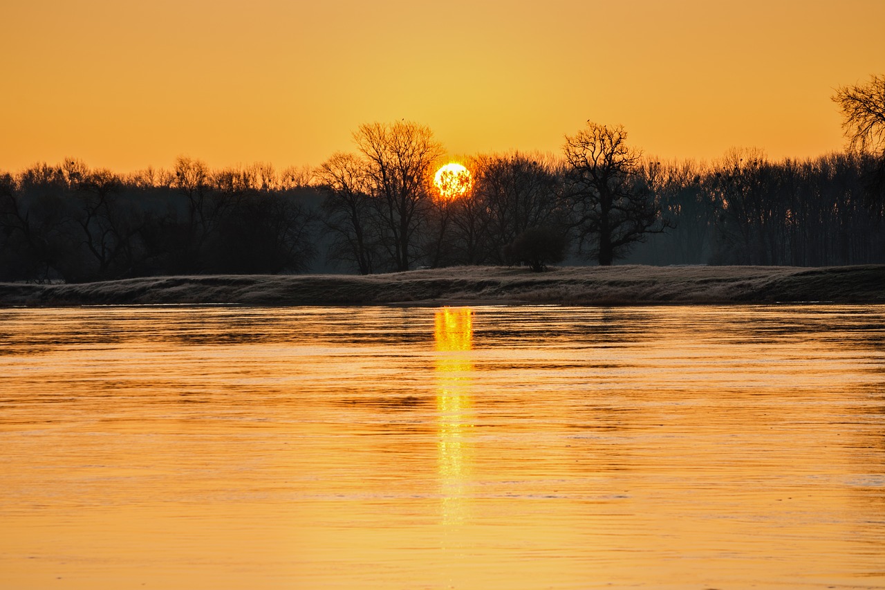 sunrise river trees free photo