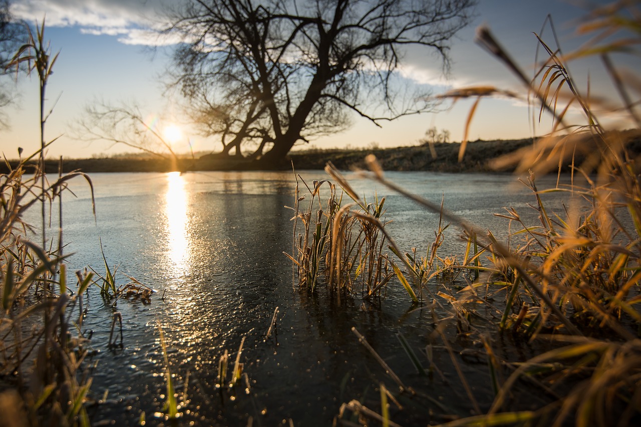 sunrise elbwiesen mood free photo