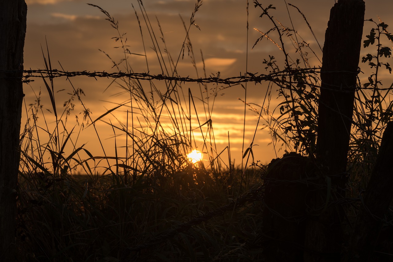 sunrise field landscape free photo