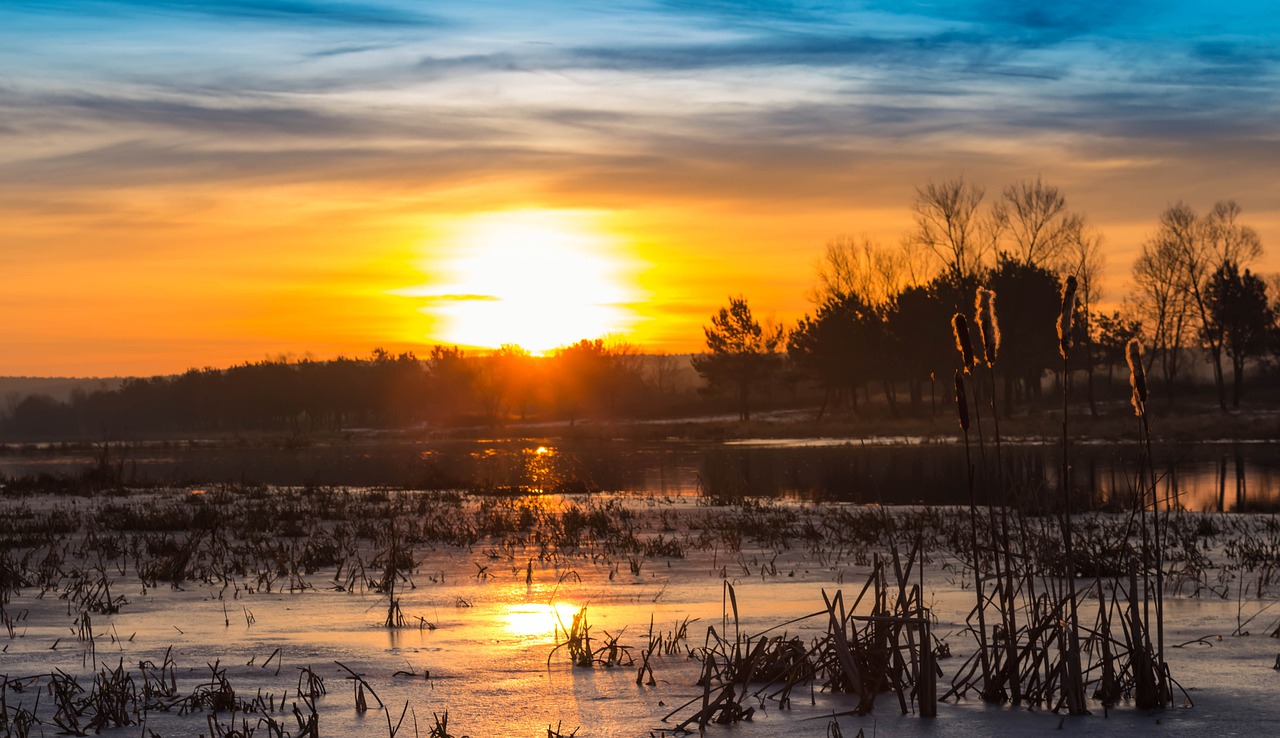 sunrise lake morning free photo