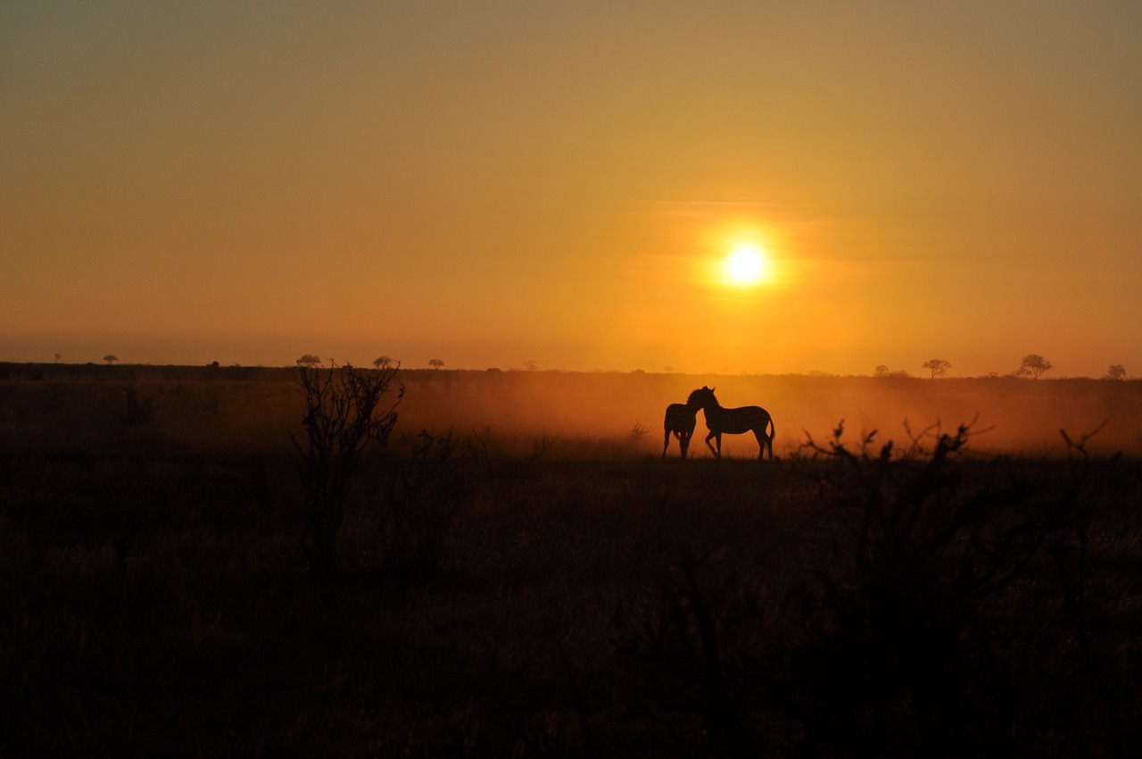 sunrise dawn sun free photo