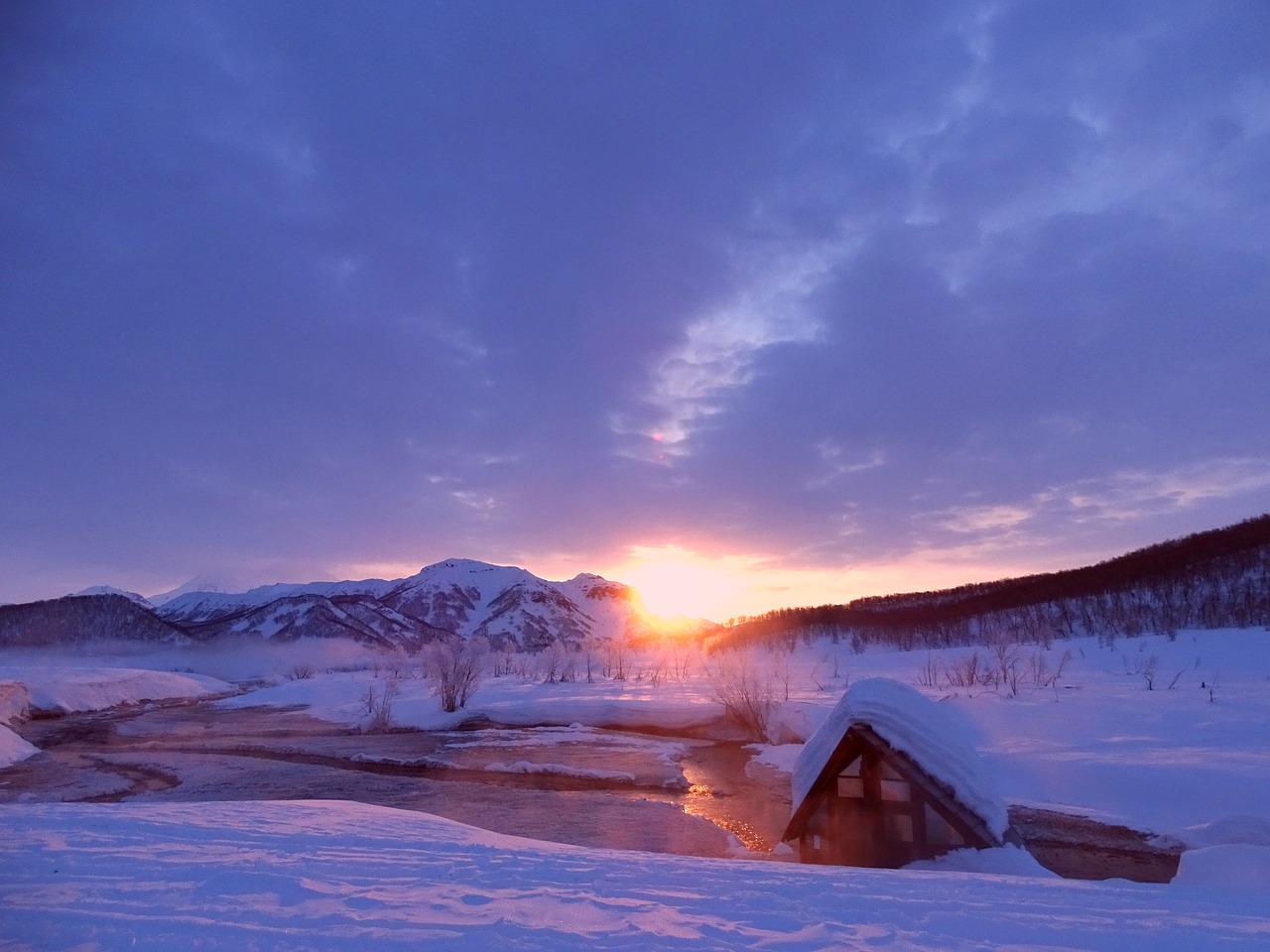 sunrise dawn forest free photo