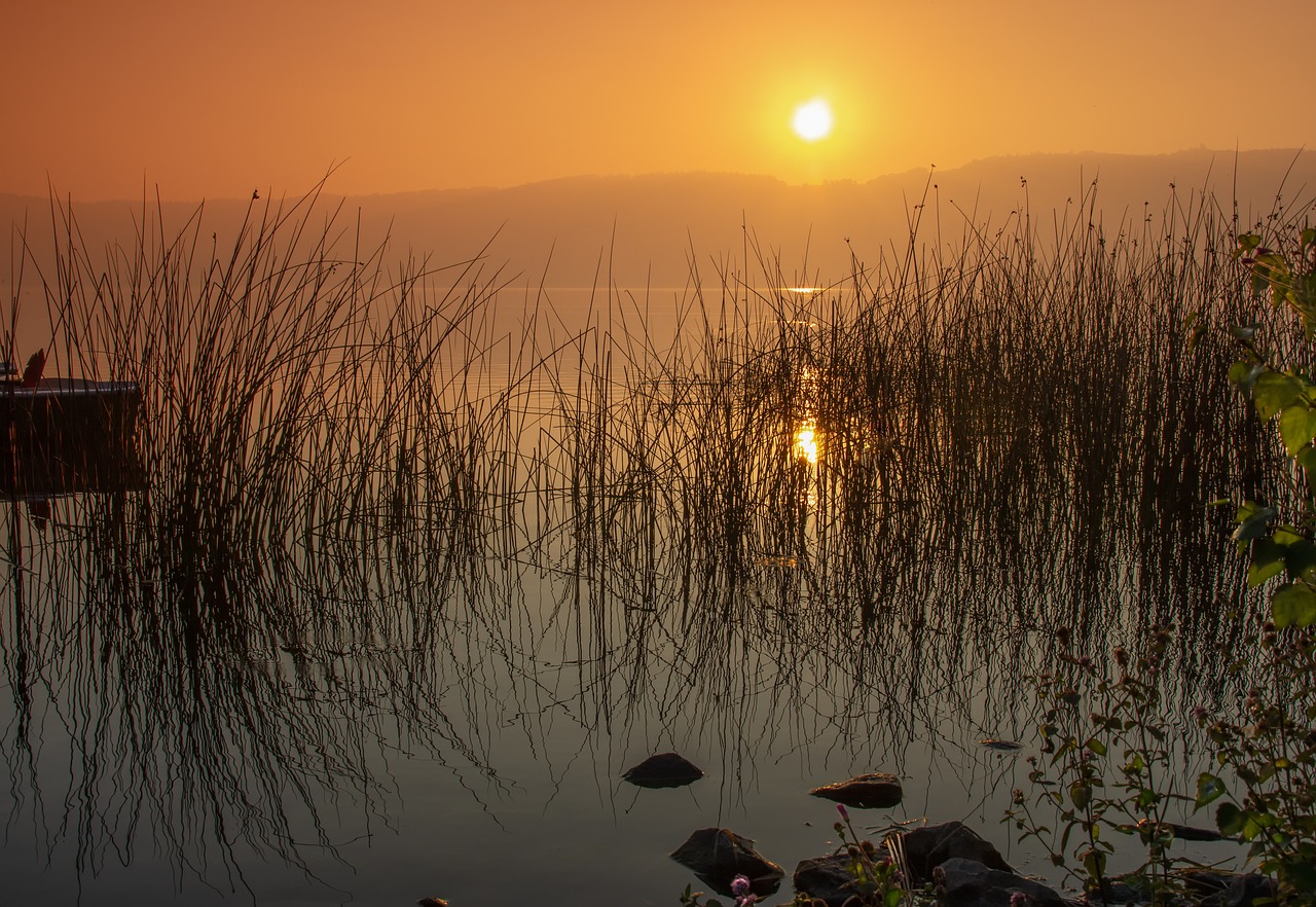 sunrise  dawn  laacher lake free photo