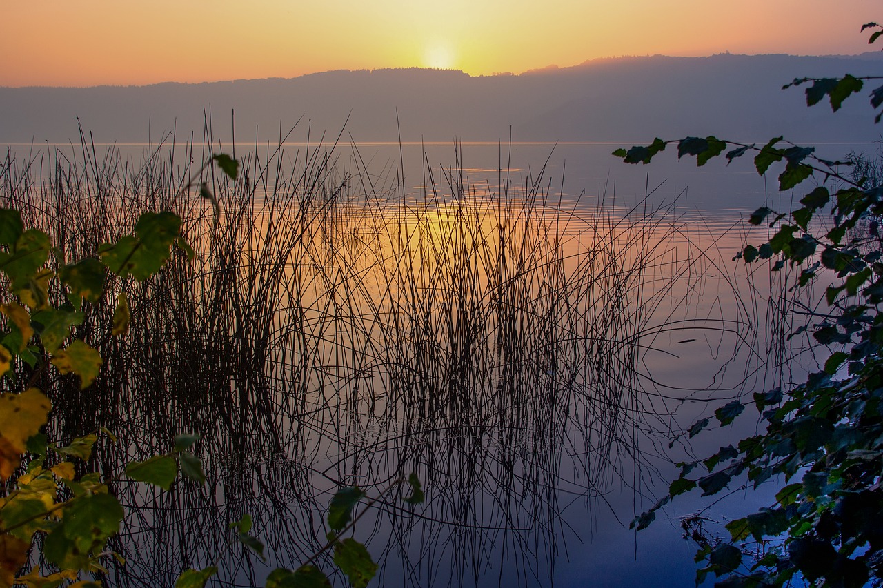sunrise  dawn  laacher lake free photo