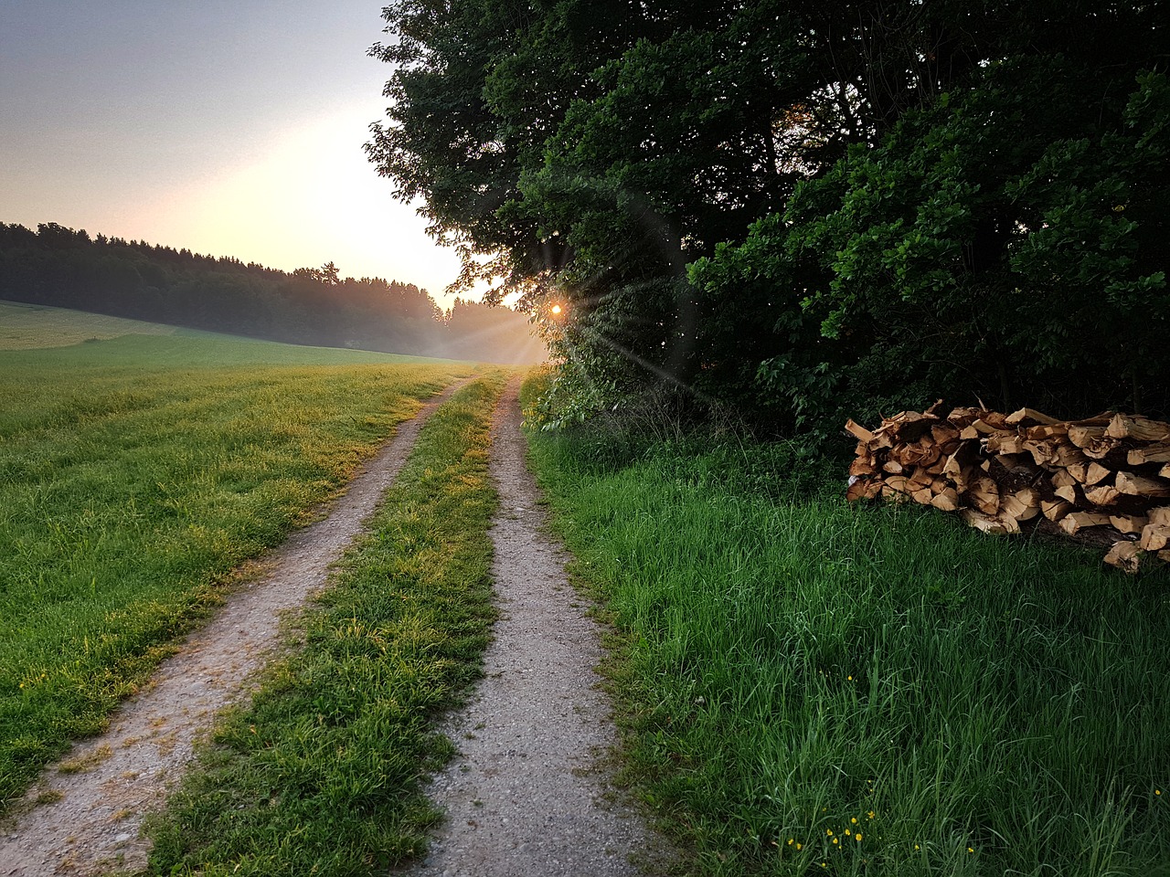 sunrise  east  fog free photo