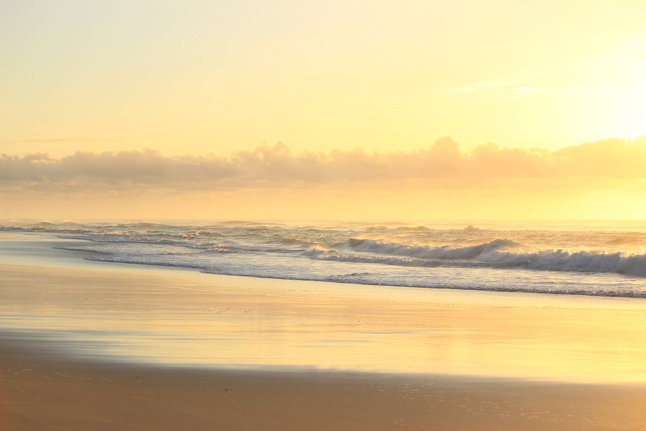 sunrise  beach  morning free photo