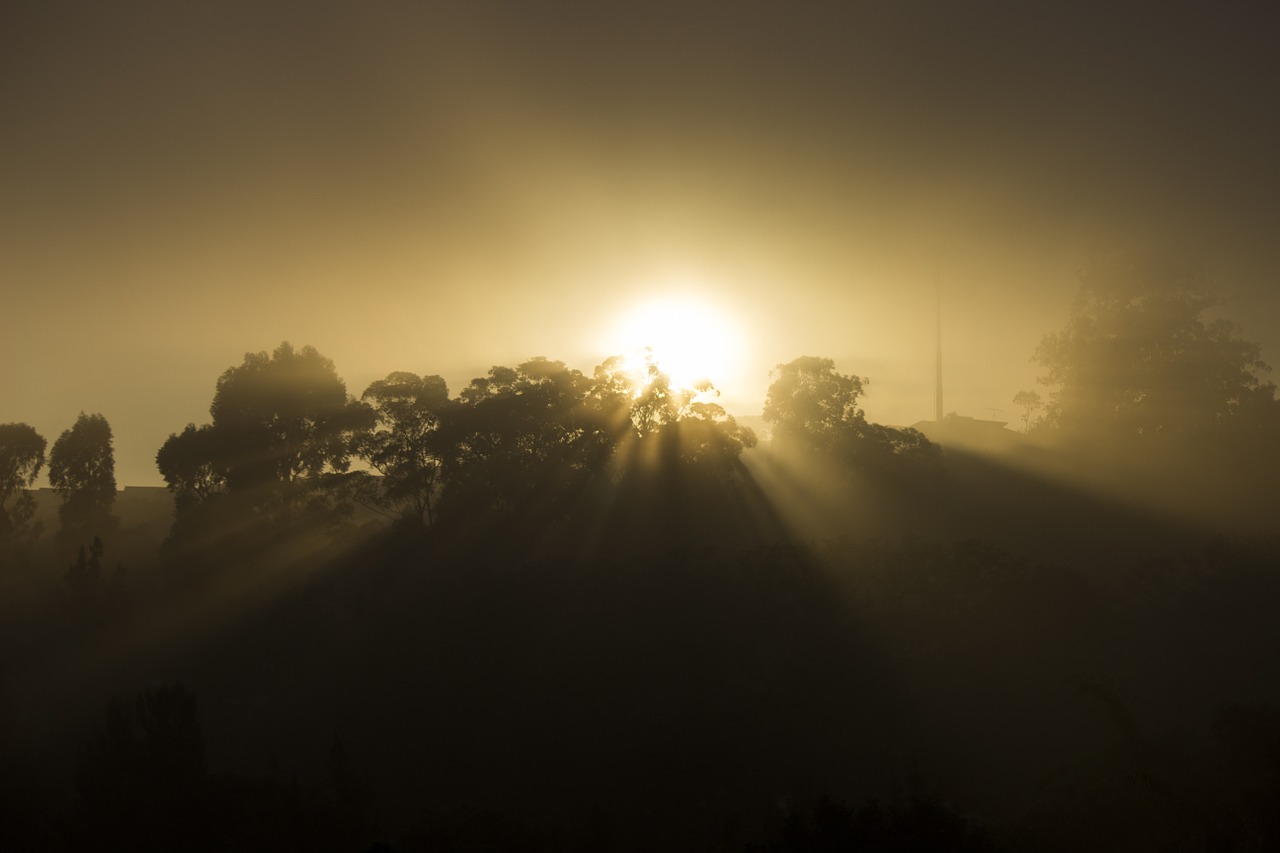 sunrise sol fog free photo