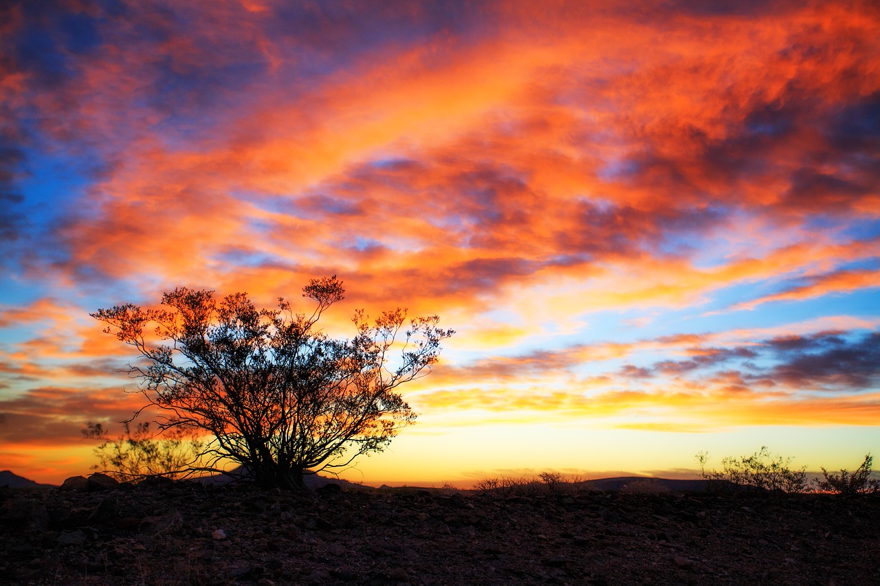 sunrise  sky  clouds free photo