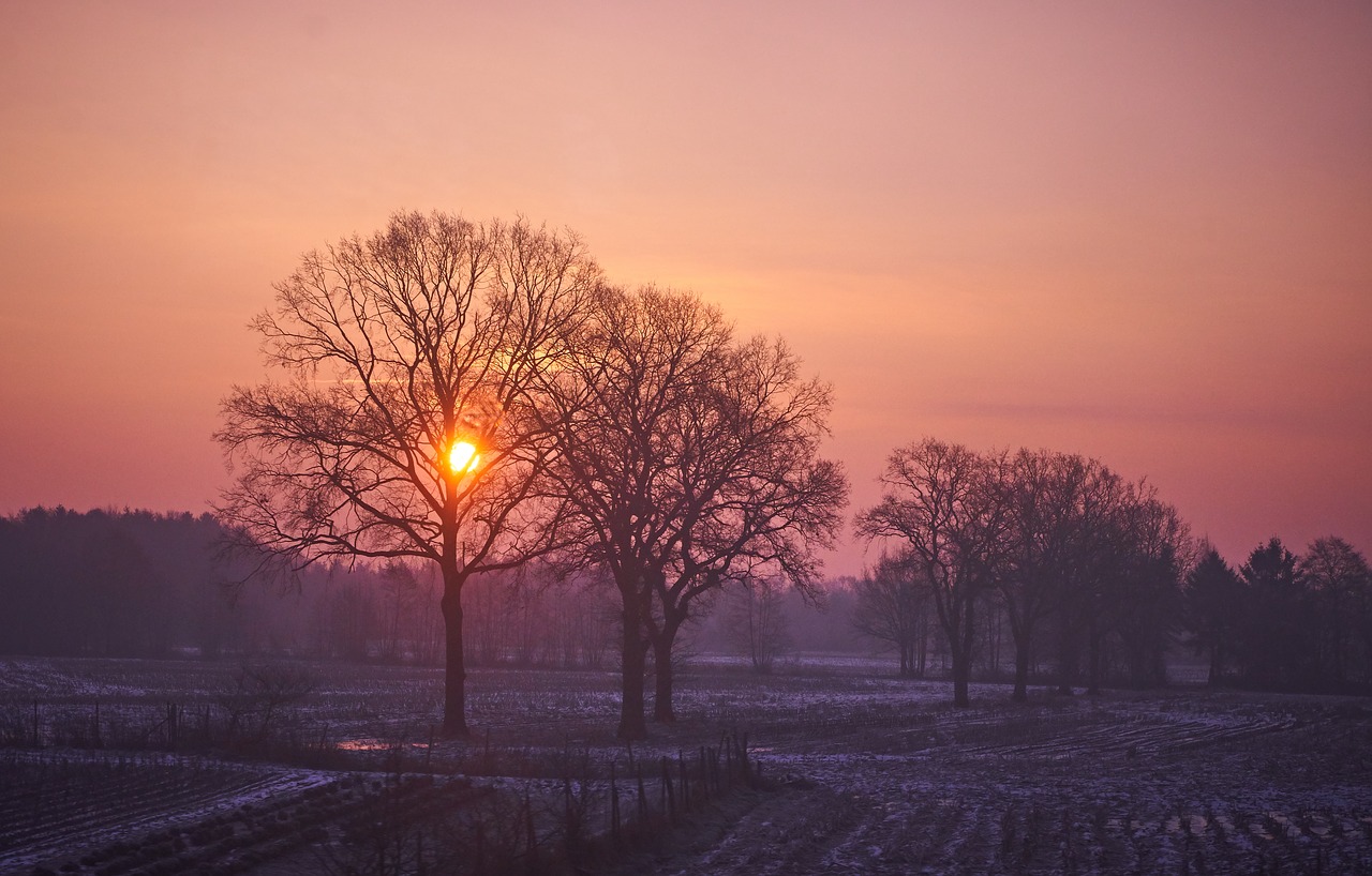 sunrise  country life  agriculture free photo