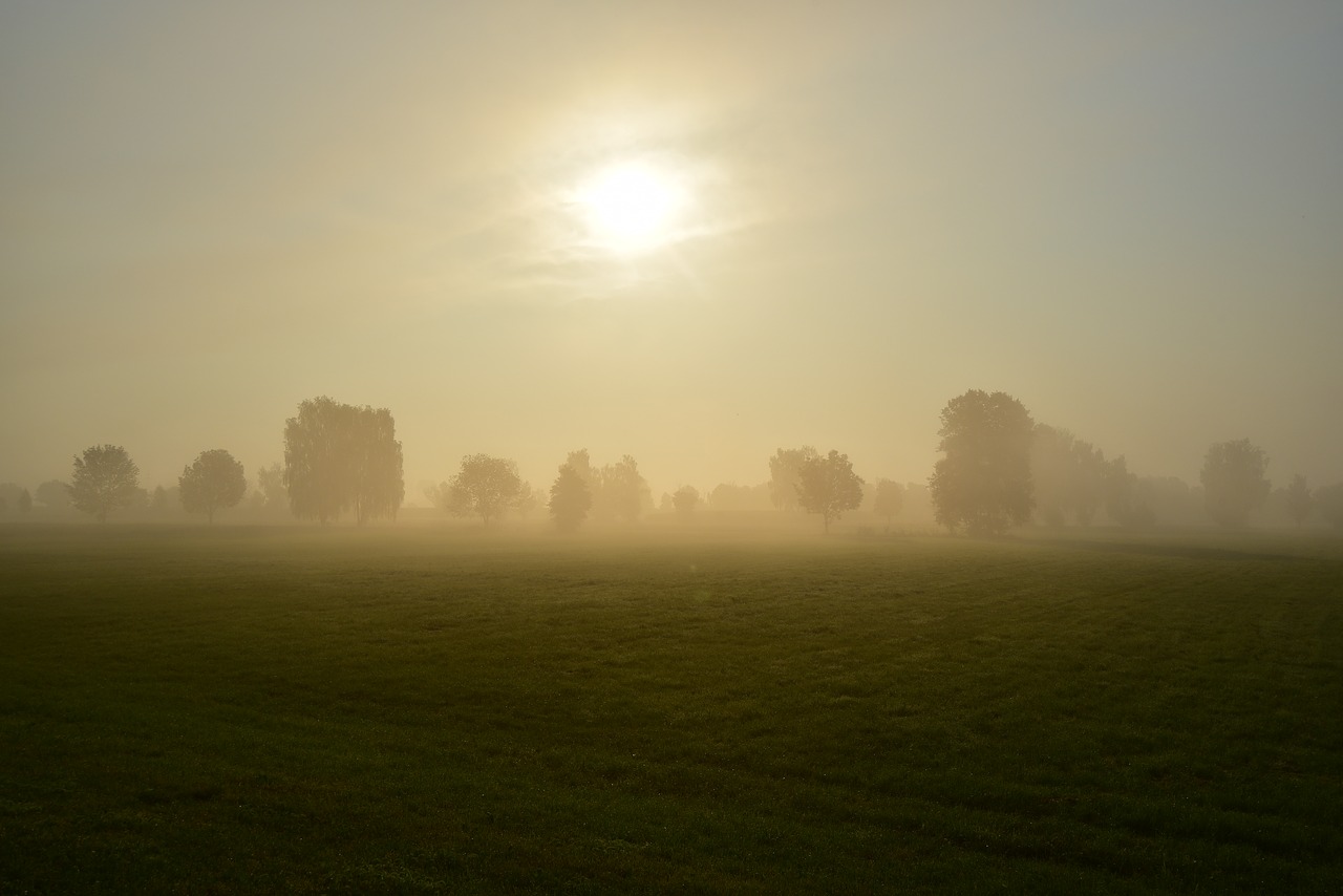 sunrise  morning mist  nature free photo