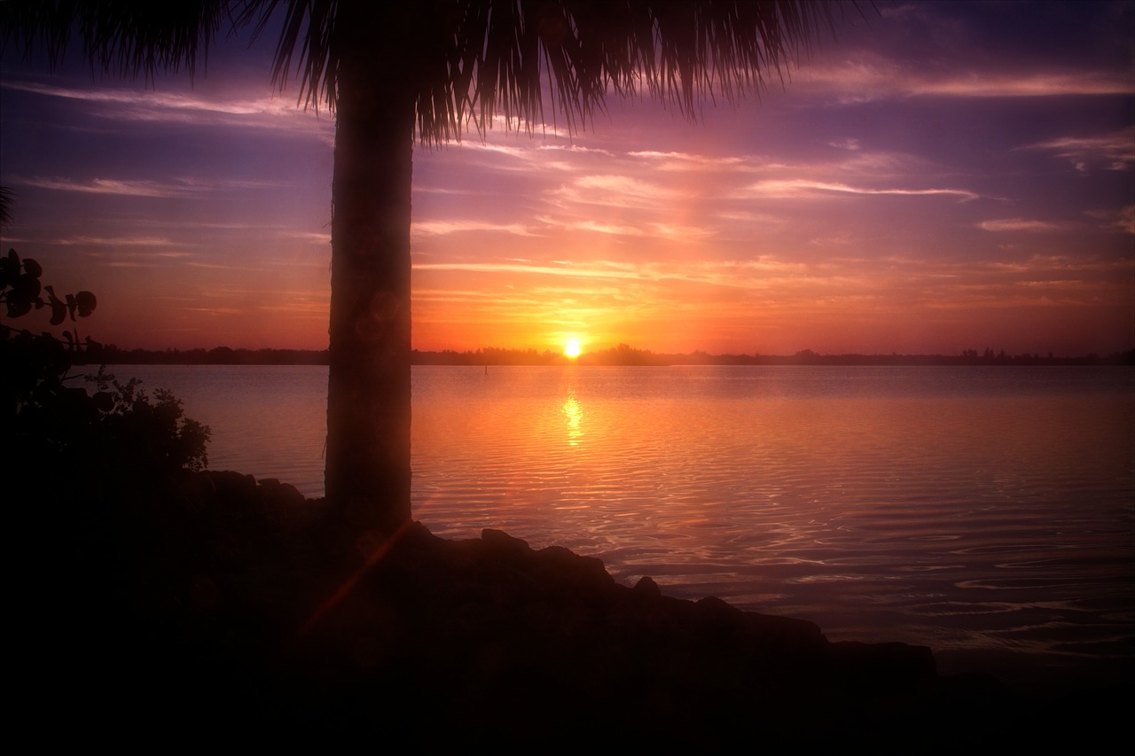 sunrise  florida  indian river free photo