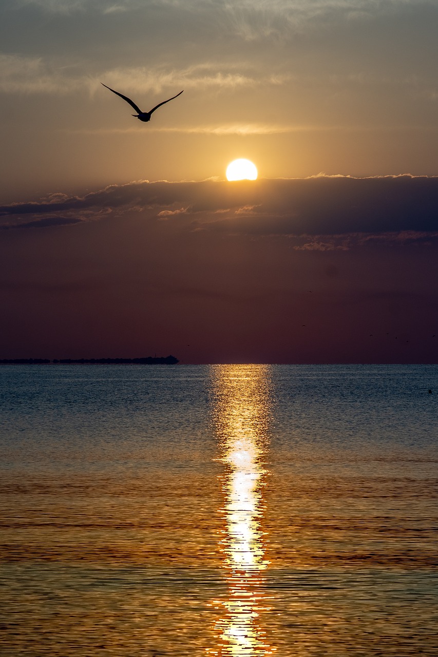 sunrise  black sea  sea free photo