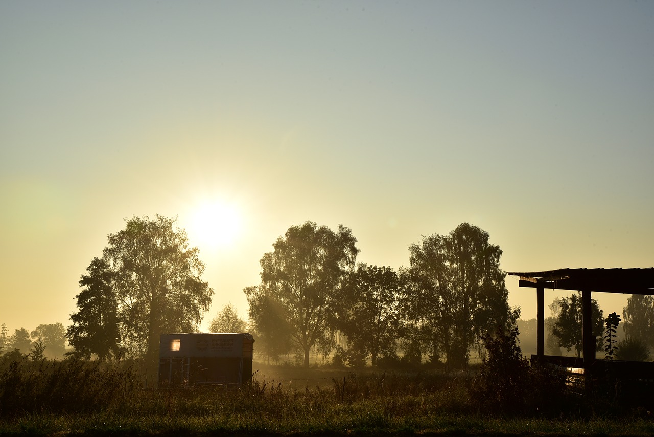 sunrise  light  dawn free photo