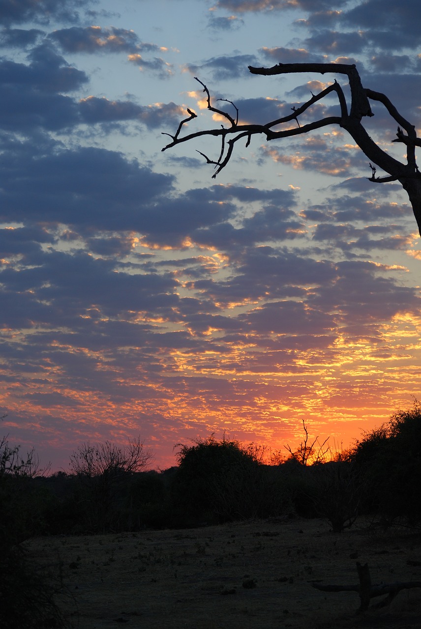 sunrise  africa  botswana free photo