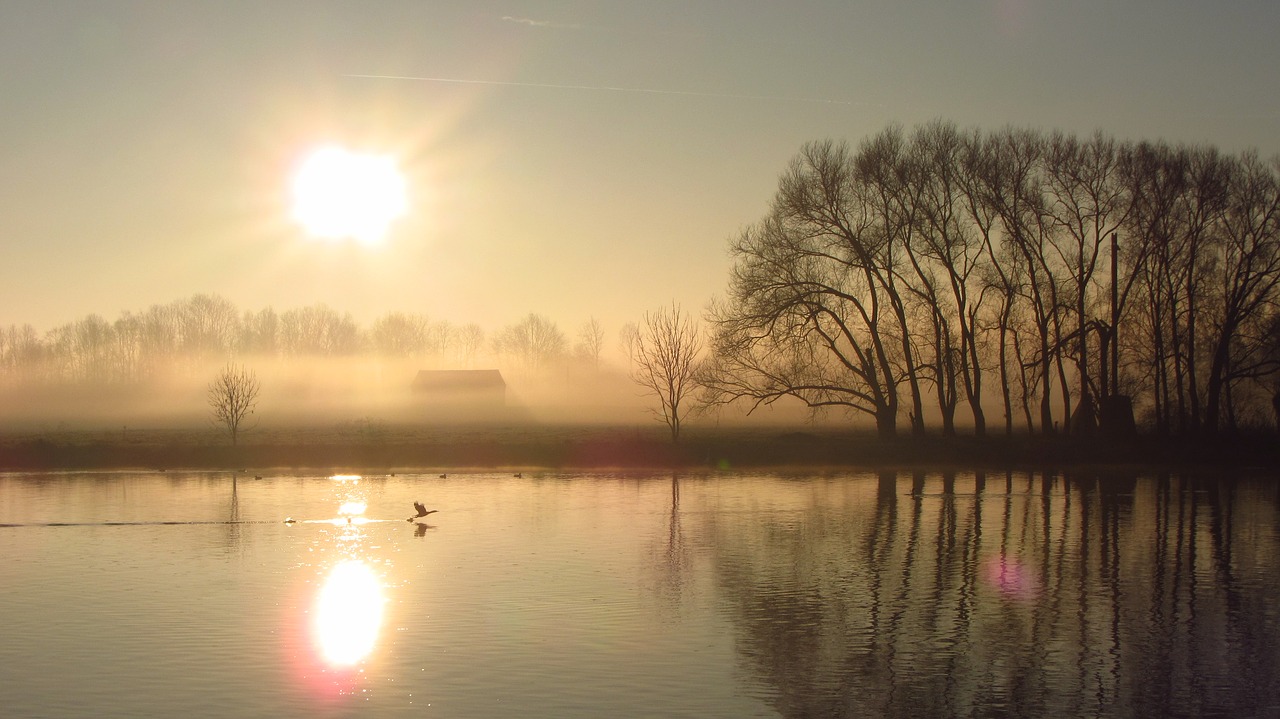 sunrise  landscape  weser free photo