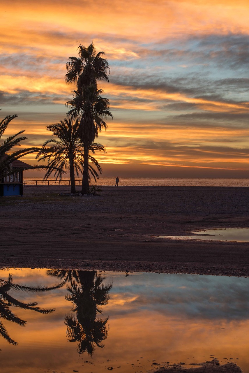 sunrise  sea  mirroring free photo