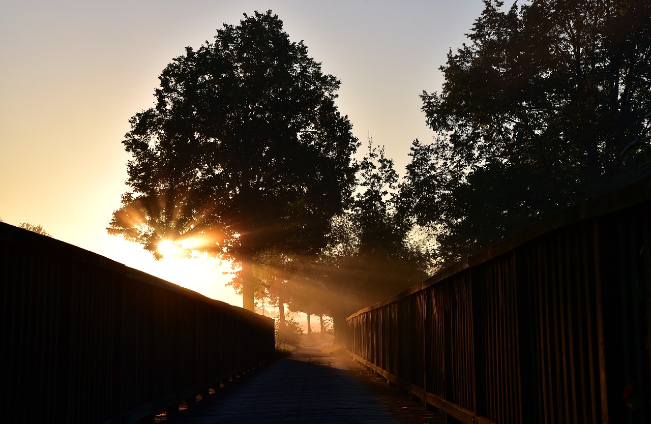 sunrise  bridge  web free photo