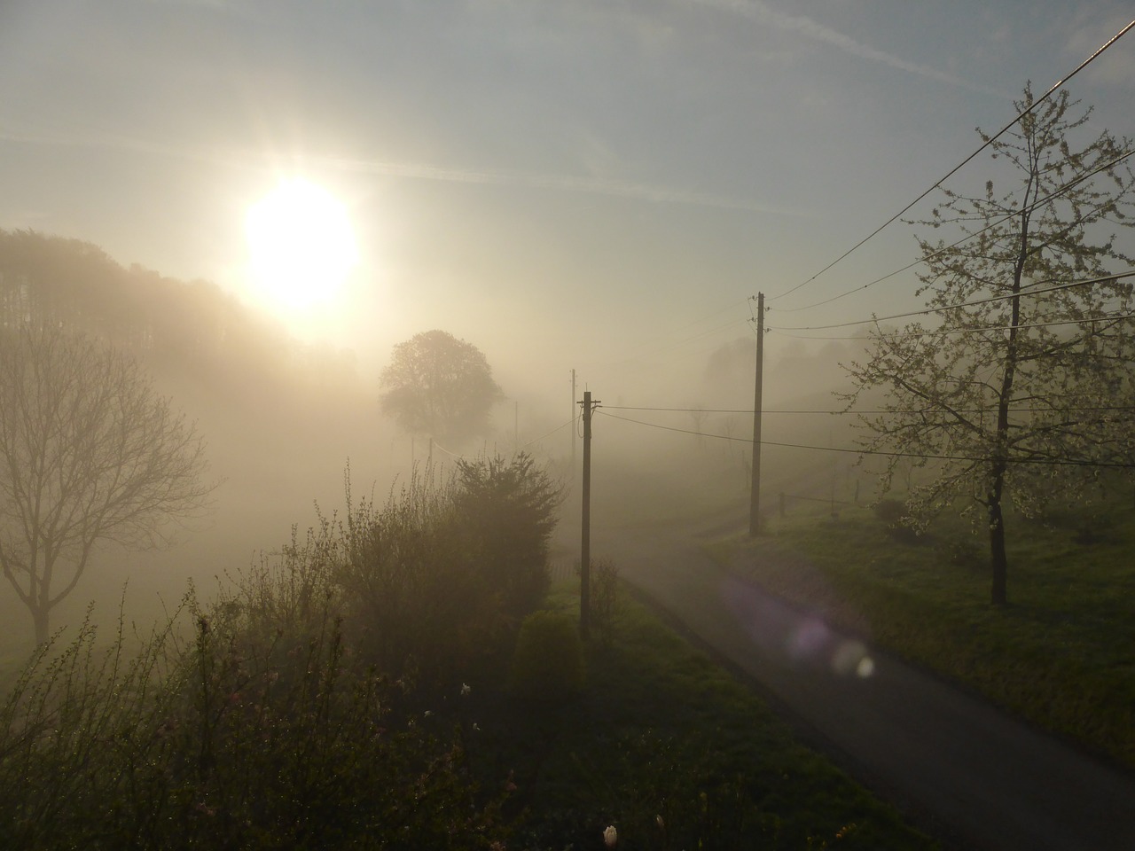 sunrise fog morning free photo