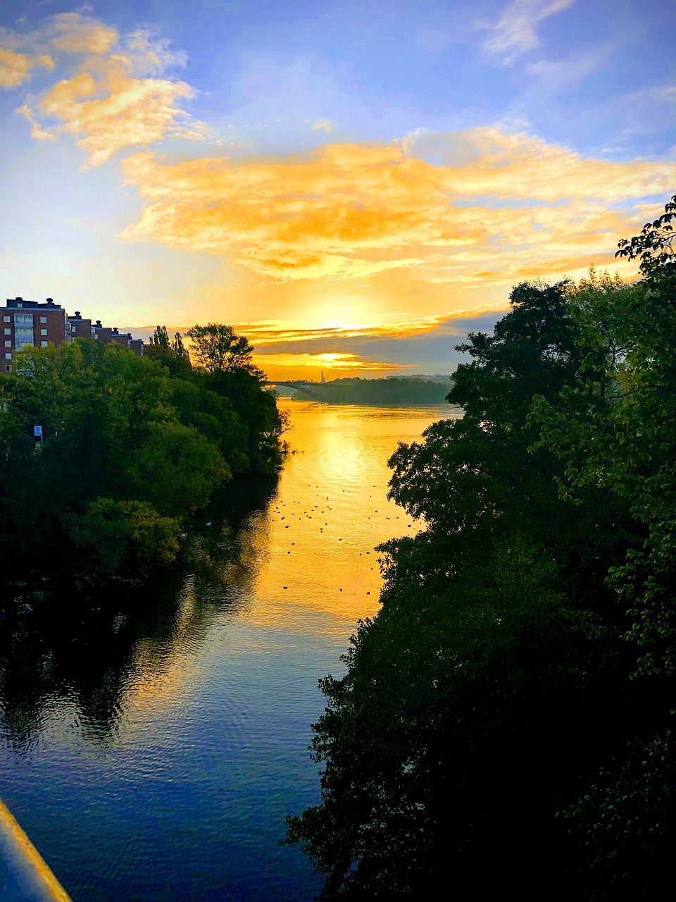 sunrise  water  river free photo