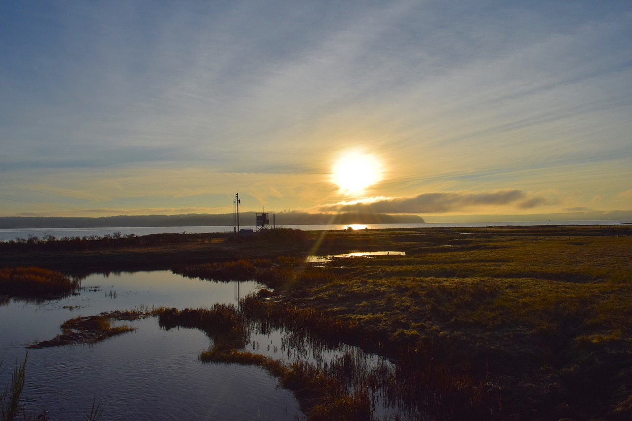 sunrise  shore  water free photo