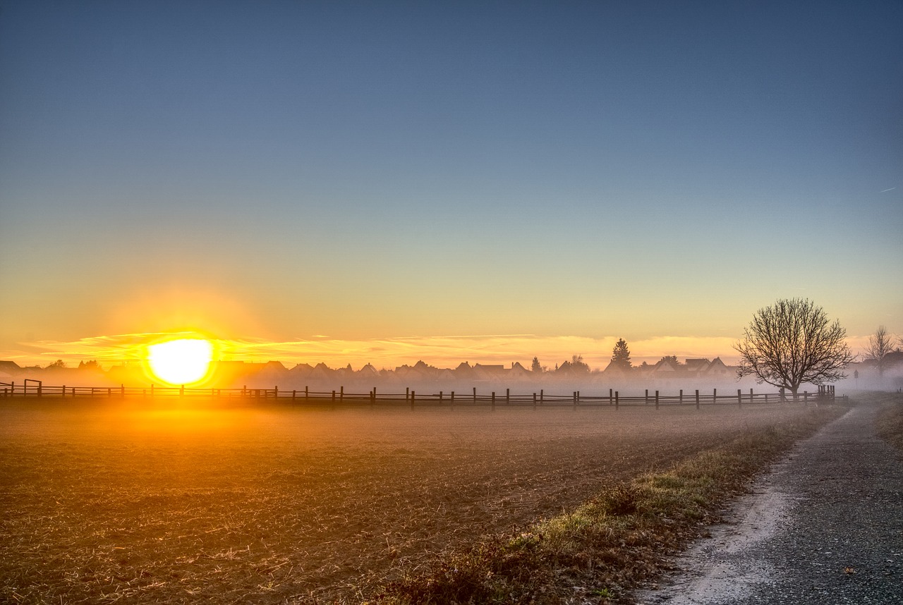 sunrise  fog  autumn free photo