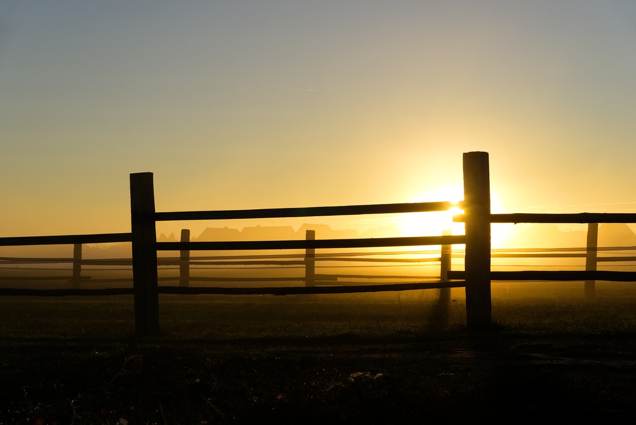 sunrise  fog  fence free photo