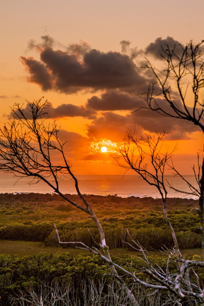 sunrise  landscape  nature free photo