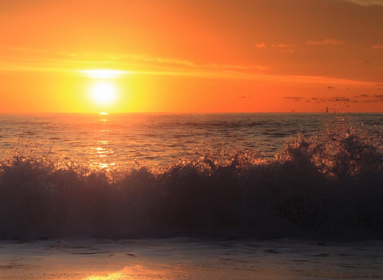sunrise  ocean  waves free photo