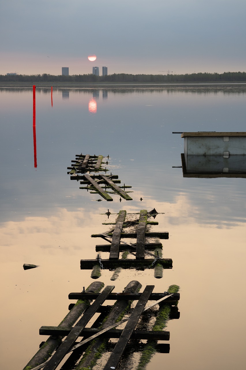 sunrise  harbor  water free photo