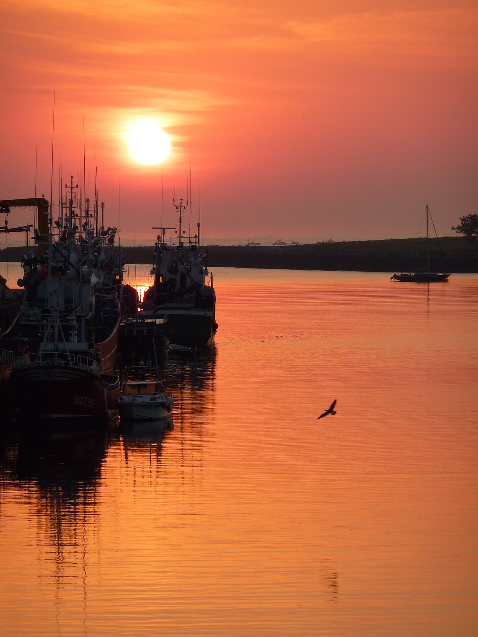 sunrise  boat  sea free photo