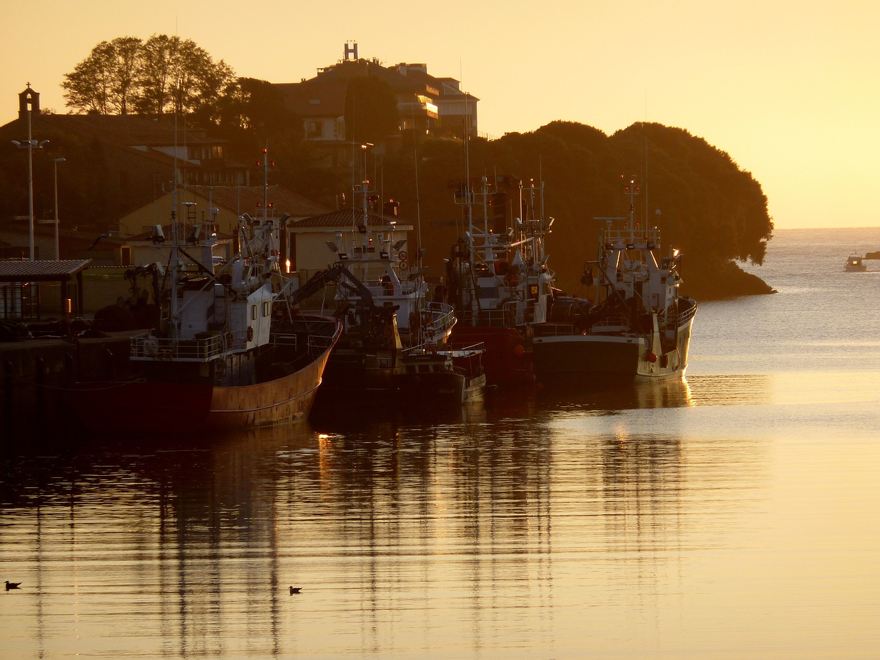 sunrise  boat  fisherman free photo