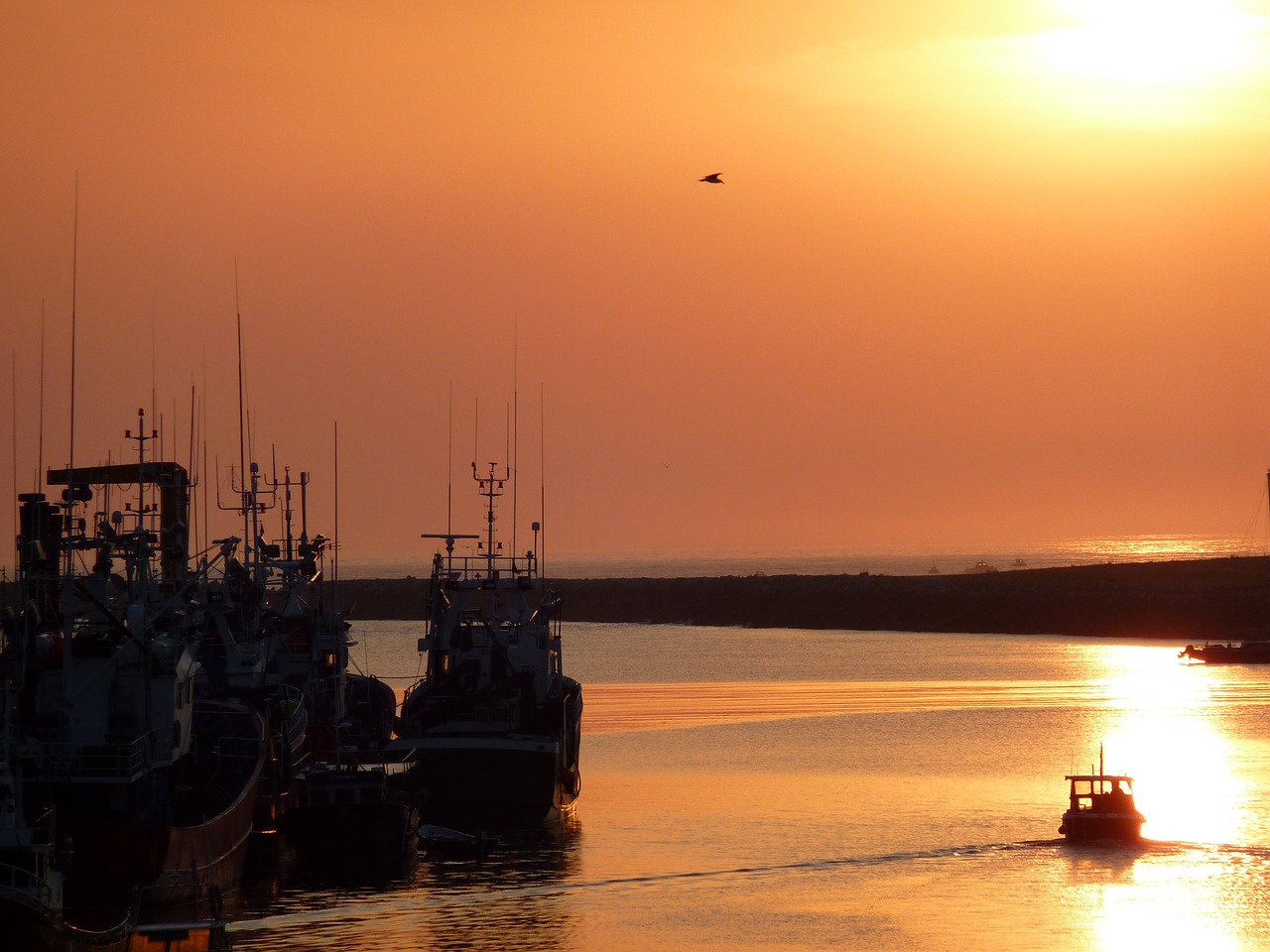 sunrise  fishing  boat free photo