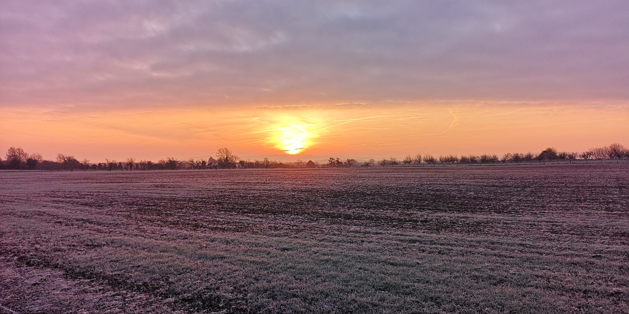 sunrise  frost  countryside free photo