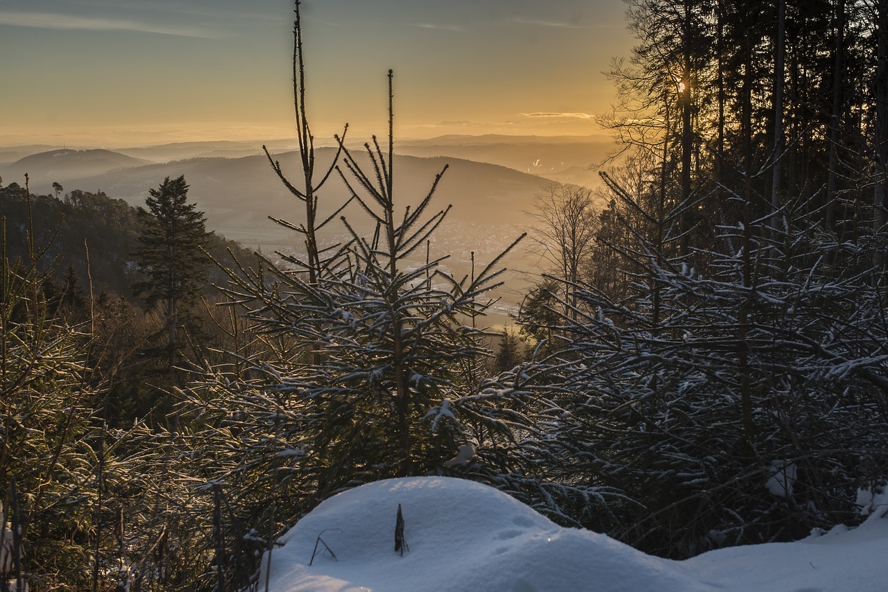 sunrise  alpine  switzerland free photo