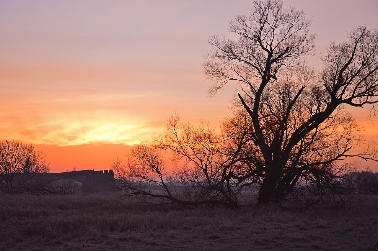 sunrise  morgenrot  skies free photo