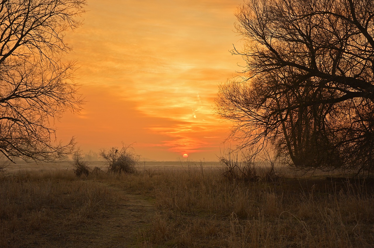 sunrise  morgenrot  morgenstimmung free photo