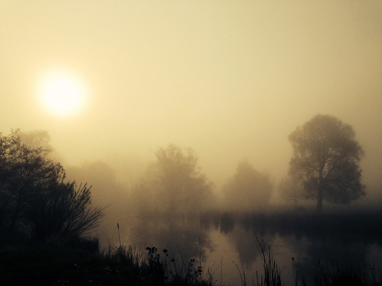 sunrise fog lake free photo