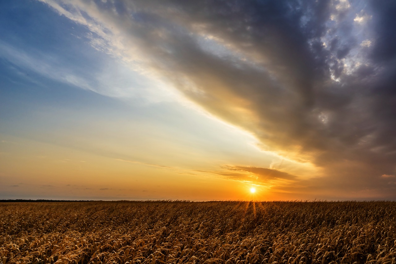 sunrise  dramatic  clouds free photo