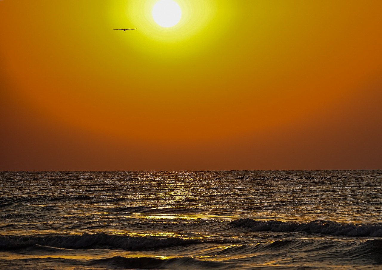 sunrise waves golden free photo